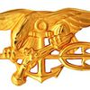 NYPD Commits Navy SEAL For Claiming To Be A Navy SEAL